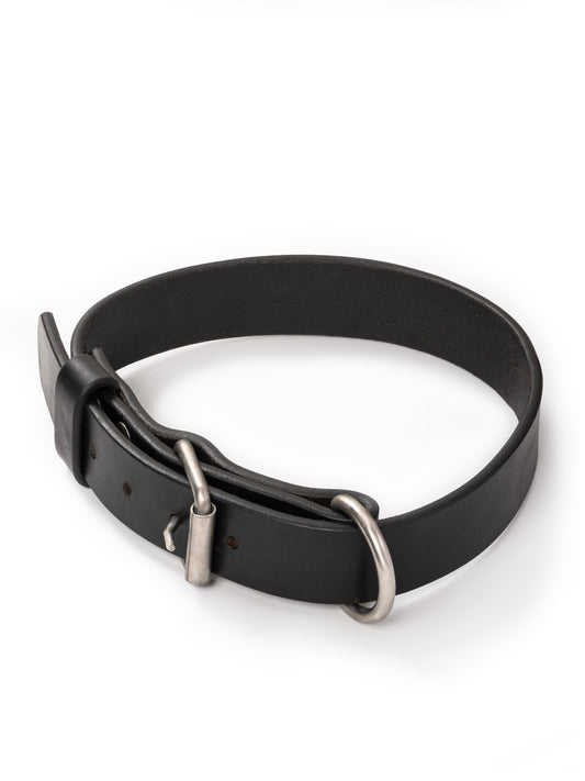 Agitation Leather Dog Collar - Tampa Home & Garden Store