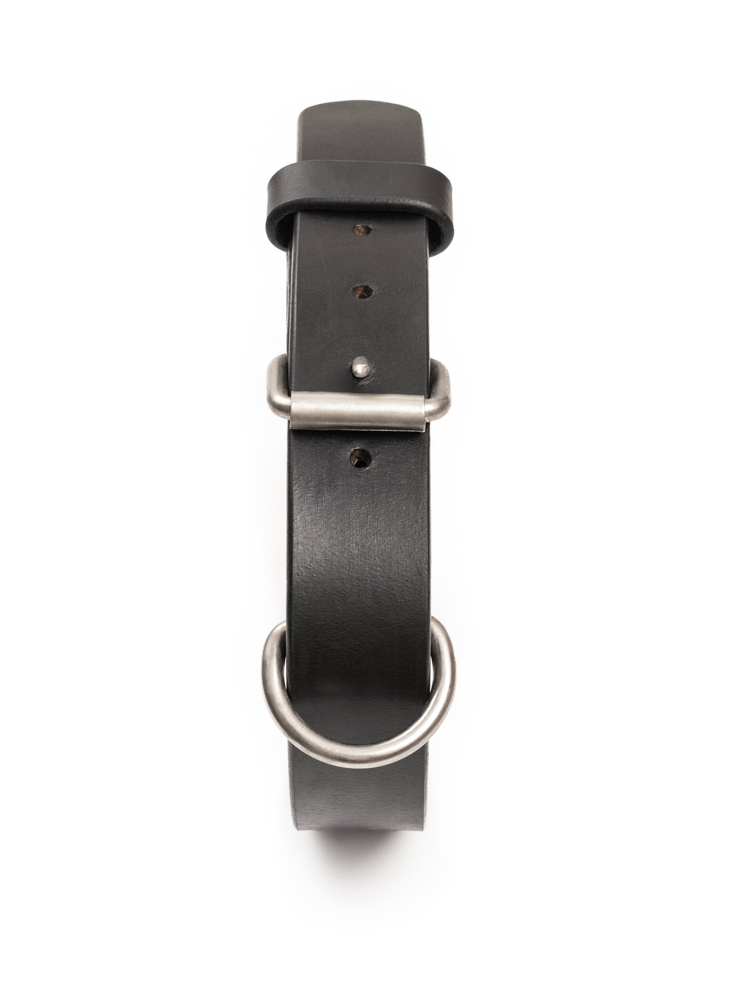 Agitation Leather Dog Collar - Tampa Home & Garden Store