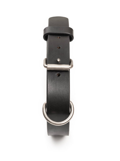 Agitation Leather Dog Collar - Tampa Home & Garden Store