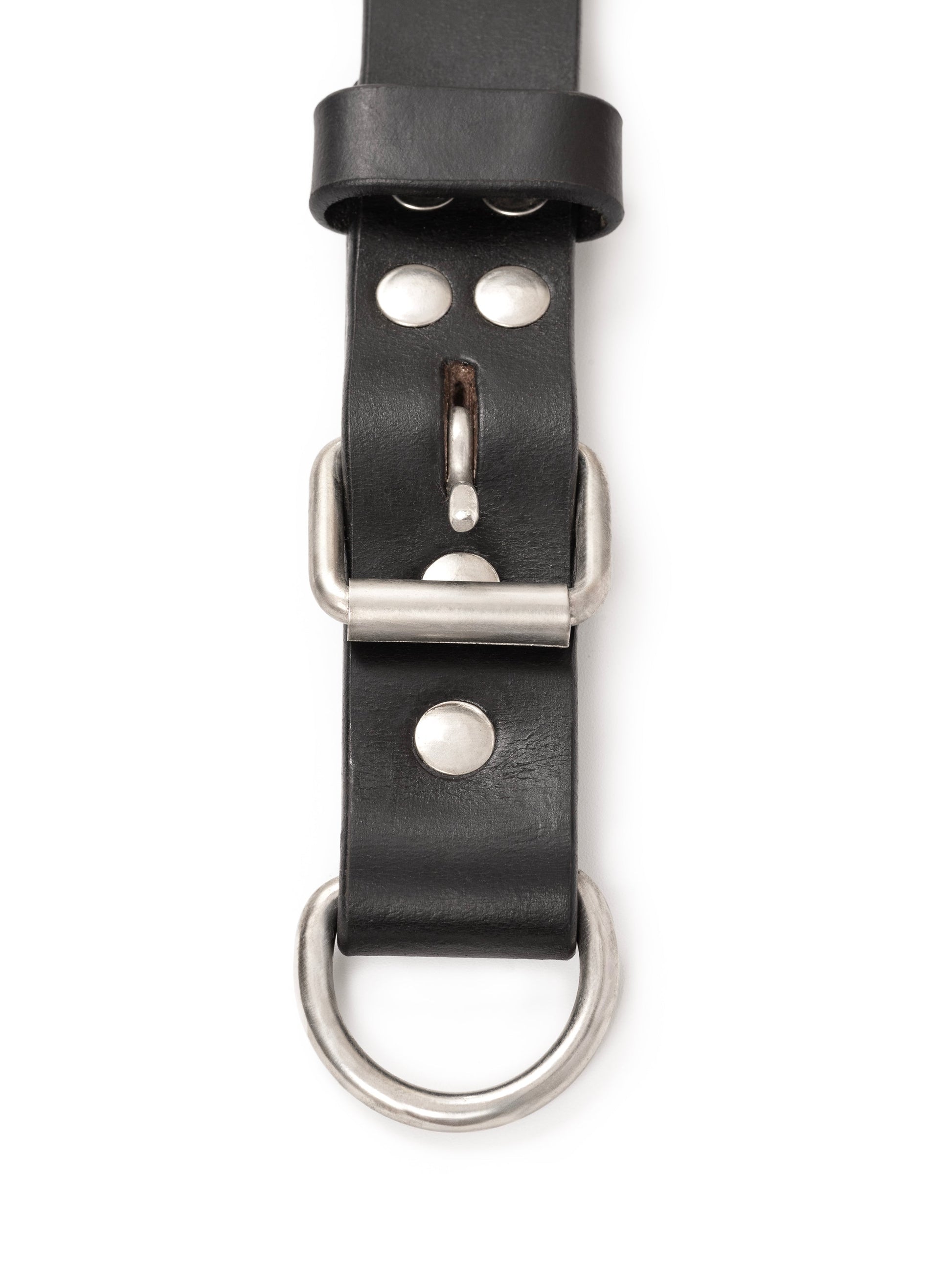 Agitation Leather Dog Collar - Tampa Home & Garden Store