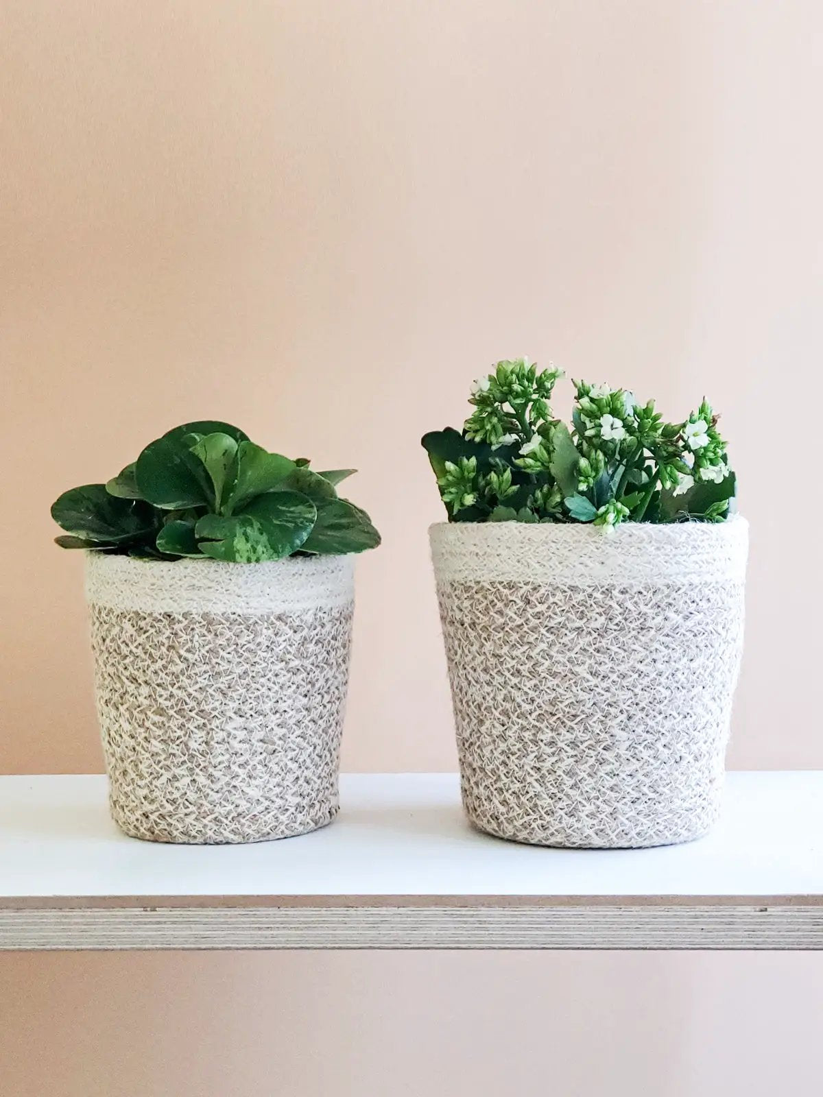 Agora Plant Basket - White - Tampa Home & Garden Store