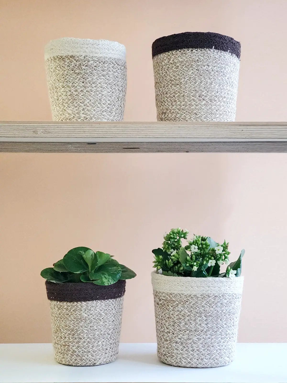 Agora Plant Basket - White - Tampa Home & Garden Store