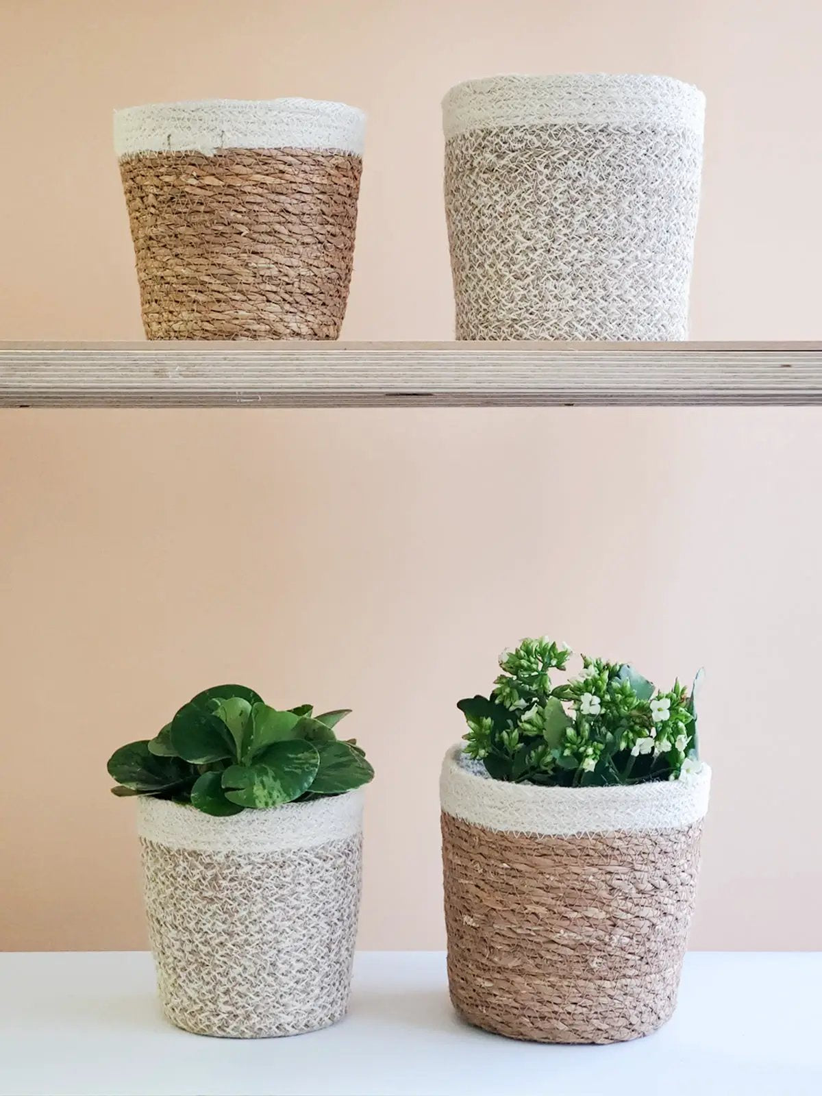 Agora Plant Basket - White - Tampa Home & Garden Store