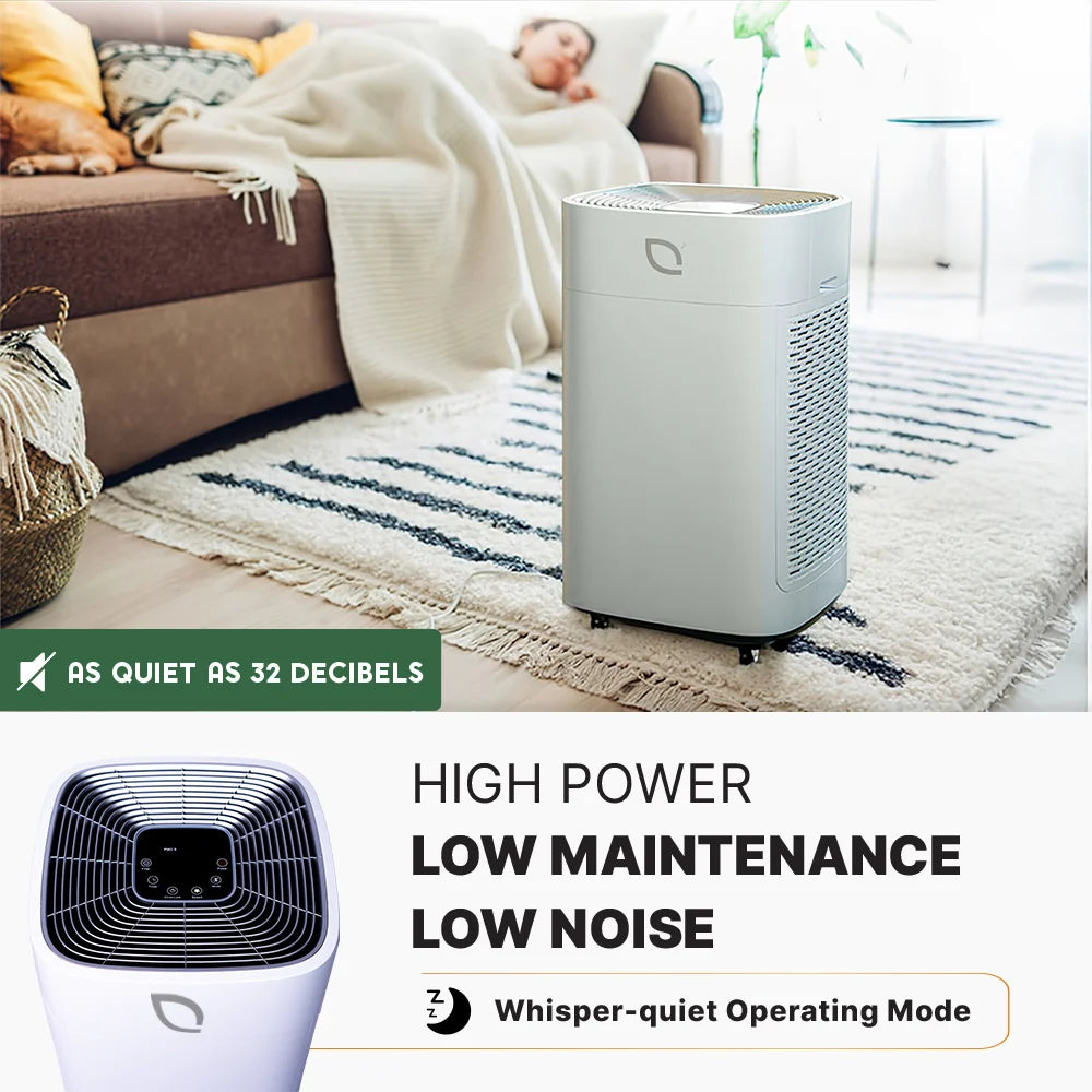 Air Sentry 1000 air purifier by Emerge Survival, silver floor unit in a cozy living room on Tampa Home & Garden Store