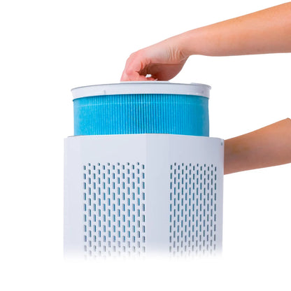 Air Sentry 500 air purifier with blue cylindrical filter in perforated housing hand inserted on Tampa Home & Garden Store
