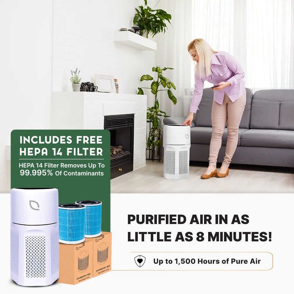 Air Sentry 500 air purifier white unit in a bright living room with blue filters nearby on Tampa Home & Garden Store