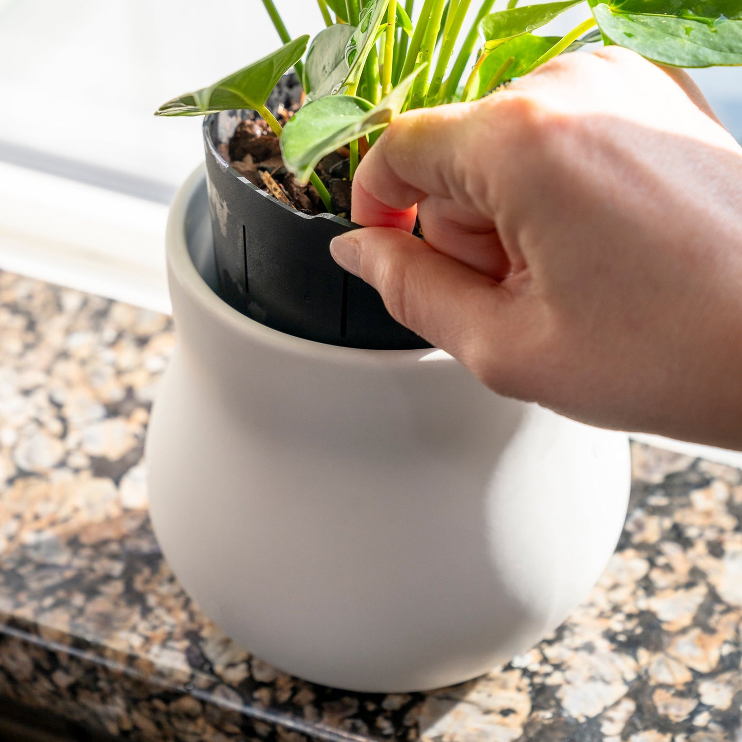 Ceramic plant pot with rubber liner in alabaster white by Happy Roots Plant Pots, indoor pot on Tampa Home & Garden Store