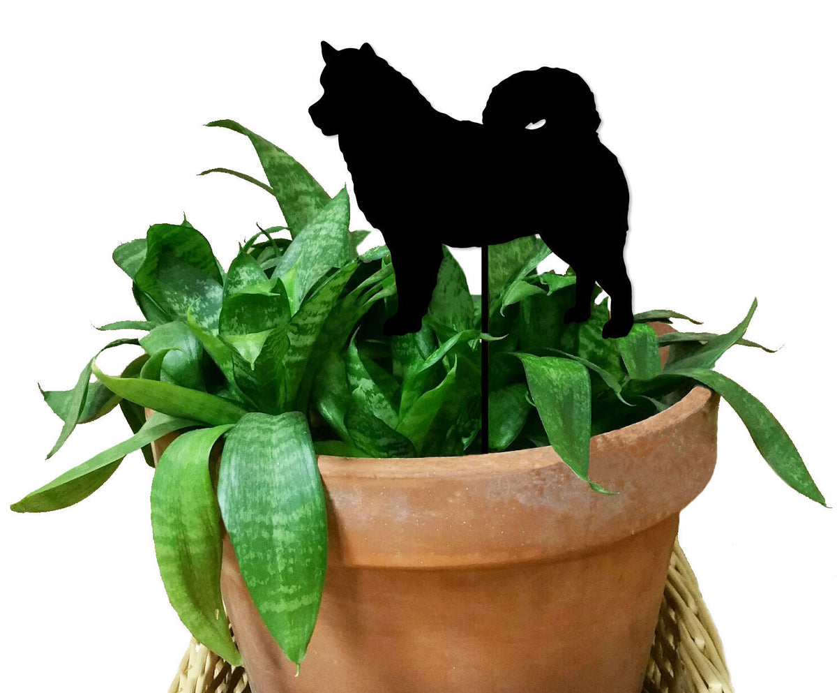 Alaskan Malamute plant stake by Rustica Ornamentals atop a pot with snake plant leaves on Tampa Home & Garden Store