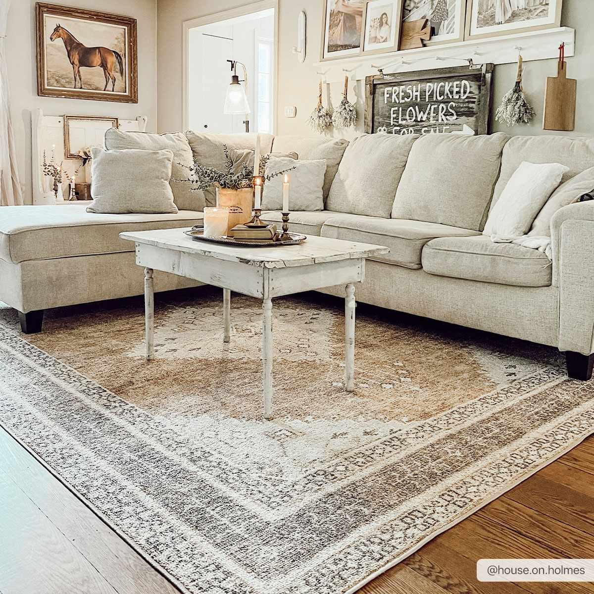 Albas Washable Area Rug by Boutique Rugs in neutral beige under a white coffee table on Tampa Home & Garden Store