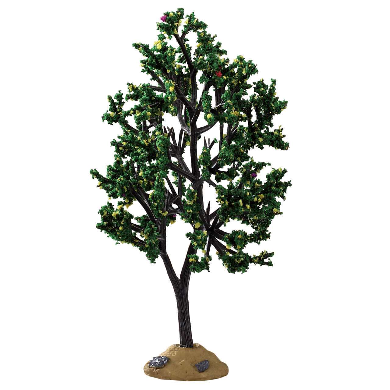 Alder Tree - 5.25 inches - Tampa Home & Garden Store