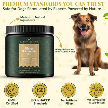 Allergy & Immune Bites for Dogs – Colostrum, Probiotics & Omega-3 – Seasonal Allergy & Itchy Skin Relief – Peanut Butter Flavor - Tampa Home & Garden Store