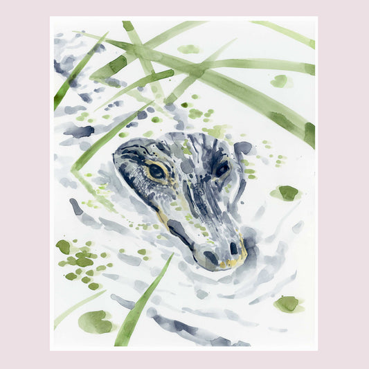 Alligator in the reeds - Tampa Home & Garden Store