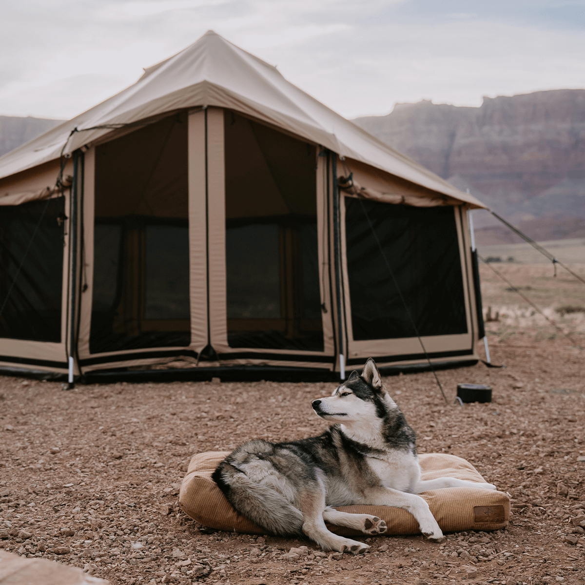 Altimus Bell Tent - Tampa Home & Garden Store
