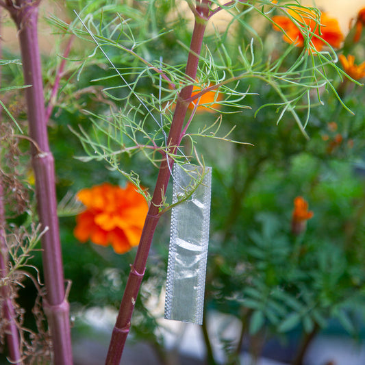 50 Aluminum Plant Tags Aluminum Tree Tags | Cole's