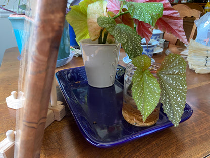 Ambrosia Maple Charcuterie Board - Unique Flower Scroll Resin Inlay - Tampa Home & Garden Store