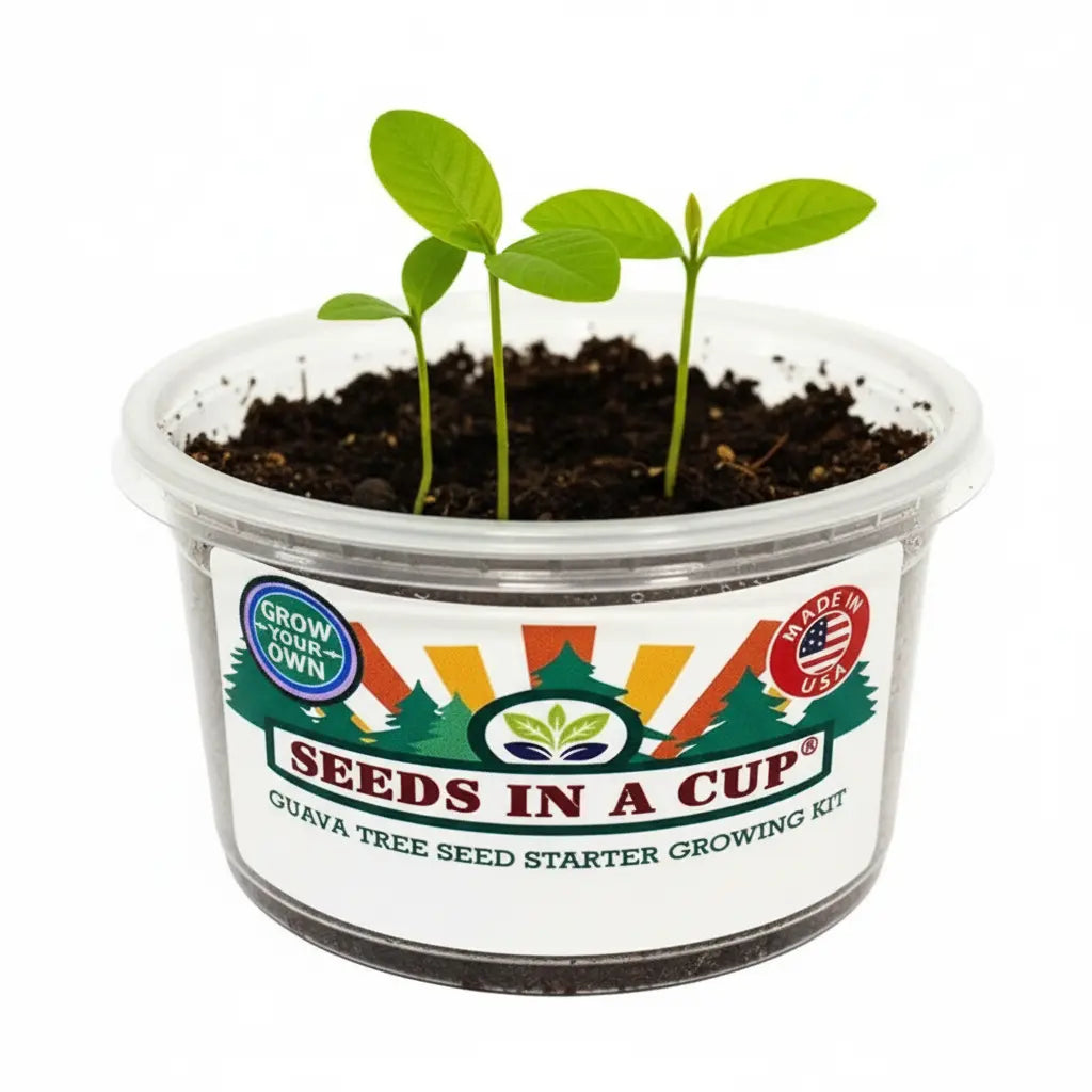 American Ash Tree Grow Kit - Tampa Home & Garden Store