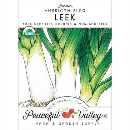 American Flag Leek Seeds (Organic) - Tampa Home & Garden Store