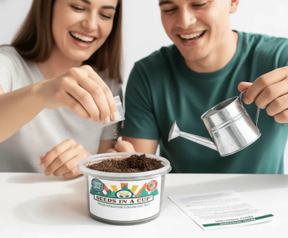 American Holly Grow Kit - Tampa Home & Garden Store