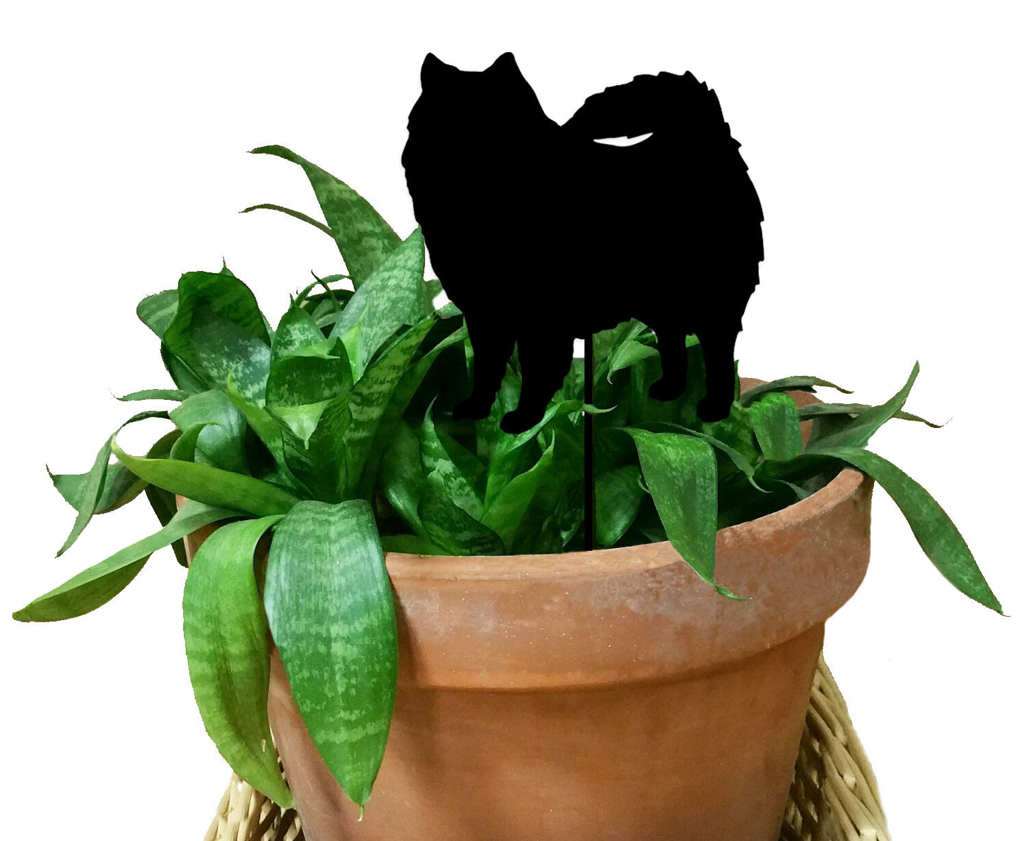 American Eskimo dog plant stake silhouette on a green leafy plant in a terracotta pot on Tampa Home & Garden Store