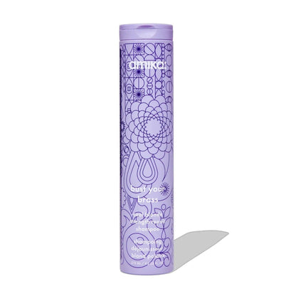 Amika Bust Your Brass Cool Blonde Repair Shampoo bottle, purple with geometric line-art pattern on Tampa Home & Garden Store