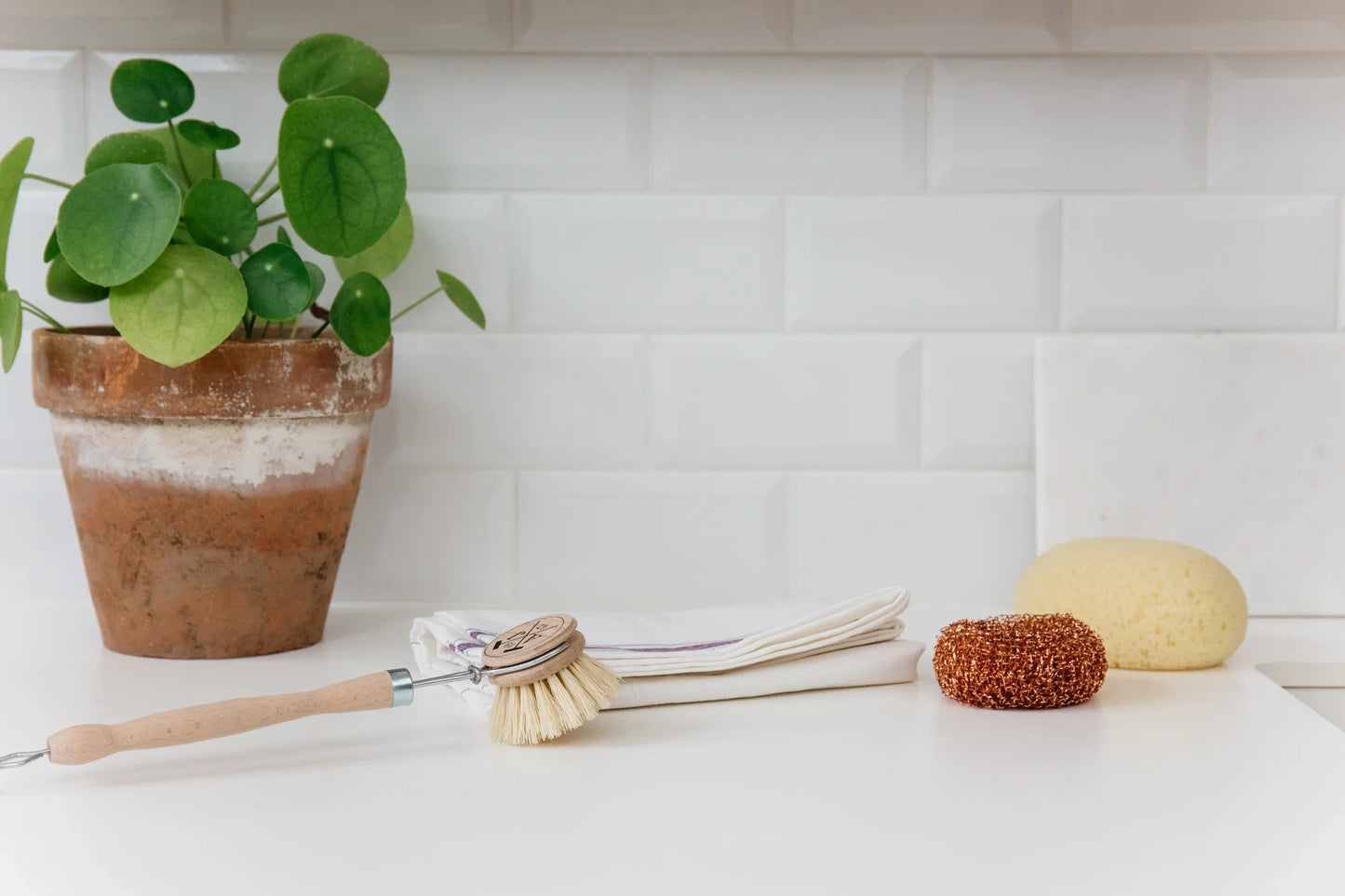 Andr Jardin Sustainable Dish Cleaning Kit in Wooden Box - Tampa Home & Garden Store