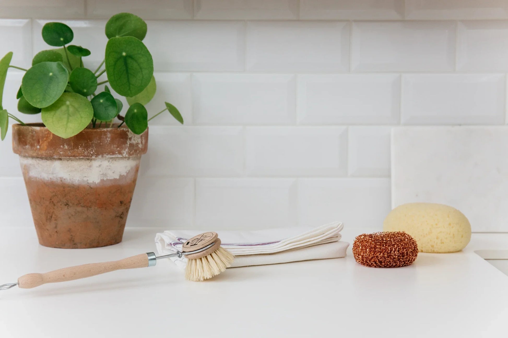 Andr Jardin Sustainable Dish Cleaning Kit in Wooden Box - Tampa Home & Garden Store
