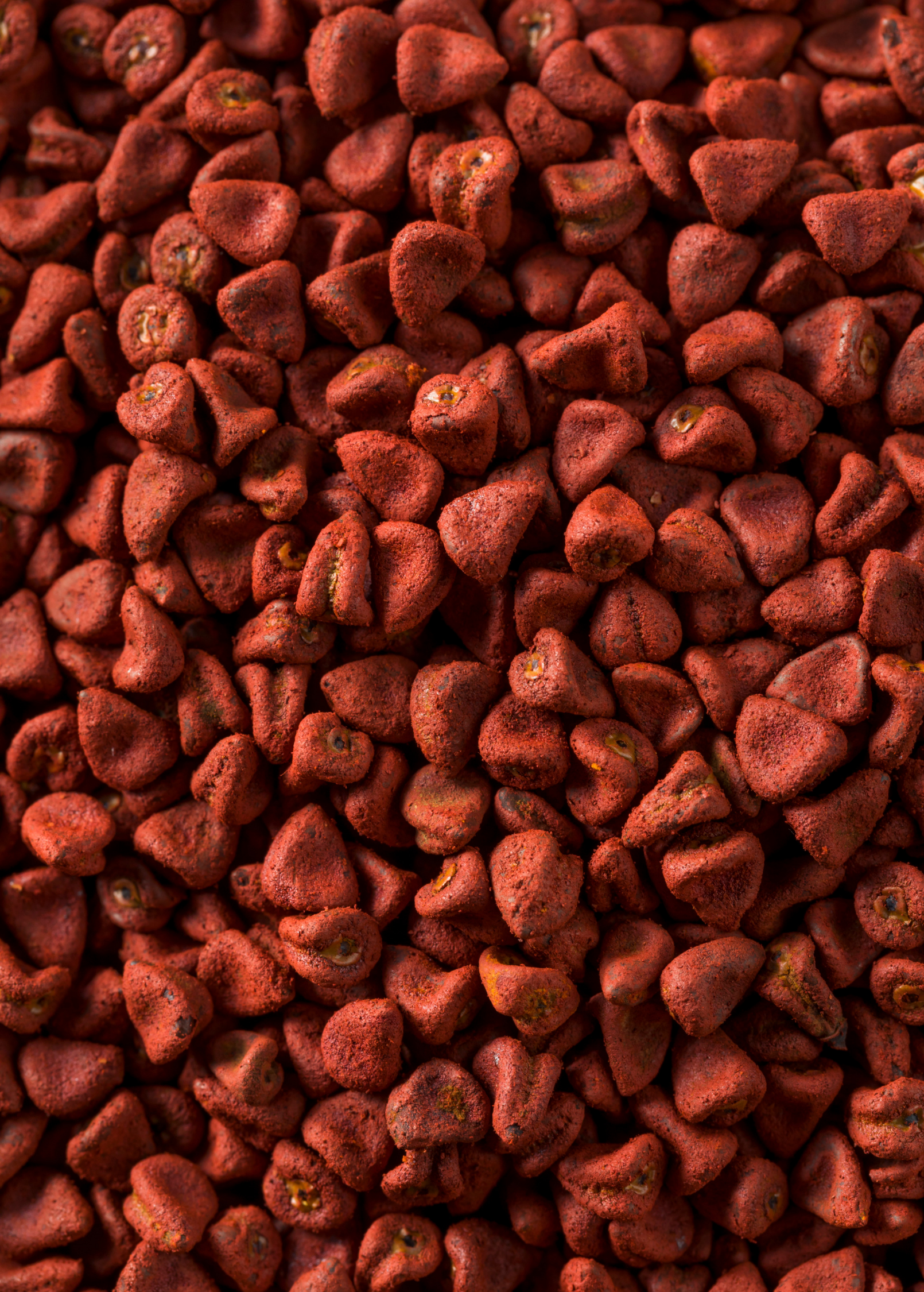 Annatto Achiote (Bixa orellana) - Tampa Home & Garden Store
