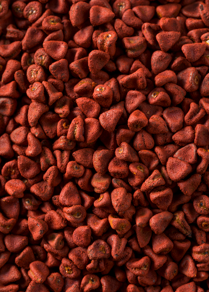 Annatto Achiote (Bixa orellana) - Tampa Home & Garden Store