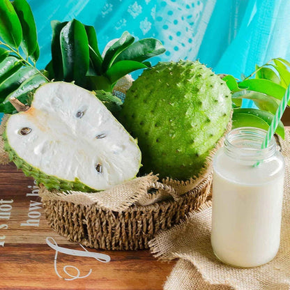 Annona Muricata - 10 Seeds - Soursop, Graviola, Guyabano, Sirsak, Non-Gmo Fruit Seeds, Tasty Tropical - Tampa Home & Garden Store