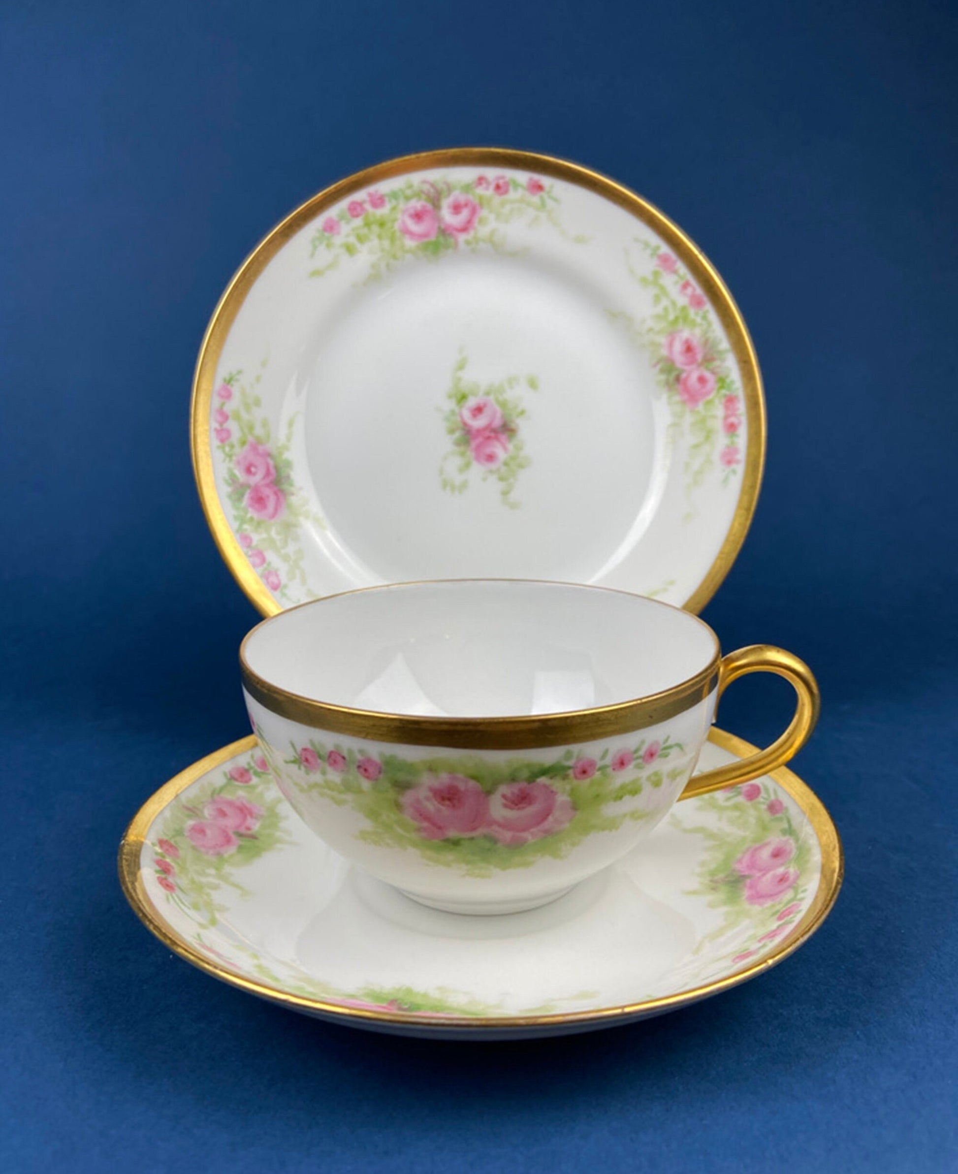 Antique Bavarian Porcelain Teacup, Saucer, and Small Dessert Plate with Delicate Roses. Hand-Painted Trio. Garlands of Roses. J & C Ovid. - Tampa Home & Garden Store