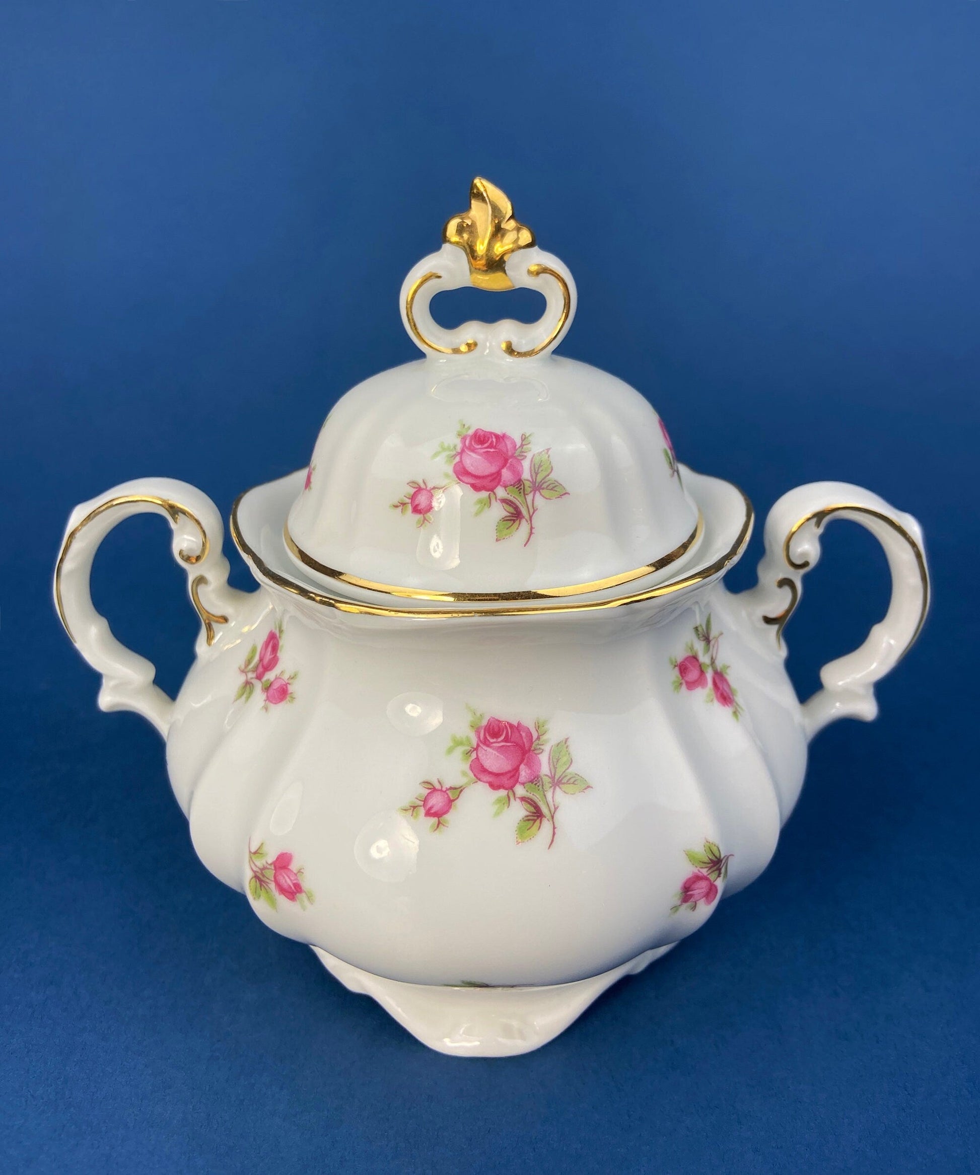 Antique Bavarian Teapot, Coffee Pot, Creamer, Sugar Bowl Set by Hertel Jacob Porcelain Co. - Tampa Home & Garden Store