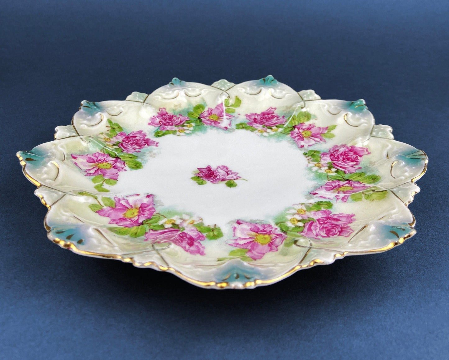 Antique Decorative Plate by Imperial Vienna. Hand Painted Collectable Serving Platter. M.Z. Austria. 1900-1909. - Tampa Home & Garden Store