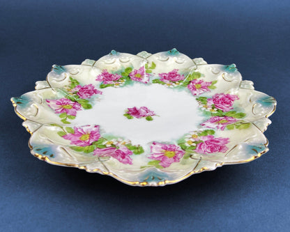 Antique Decorative Plate by Imperial Vienna. Hand Painted Collectable Serving Platter. M.Z. Austria. 1900-1909. - Tampa Home & Garden Store