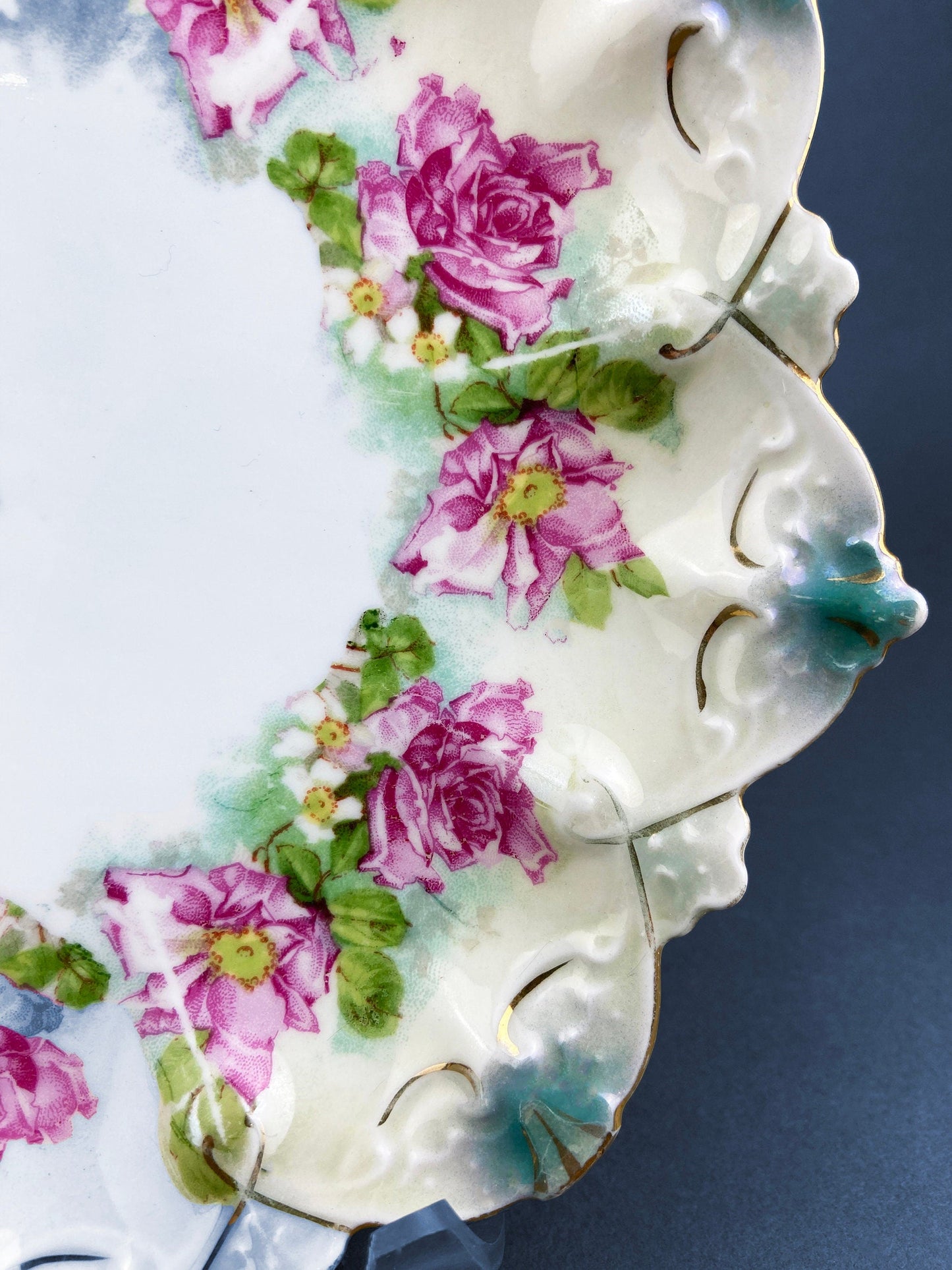 Antique Decorative Plate by Imperial Vienna. Hand Painted Collectable Serving Platter. M.Z. Austria. 1900-1909. - Tampa Home & Garden Store