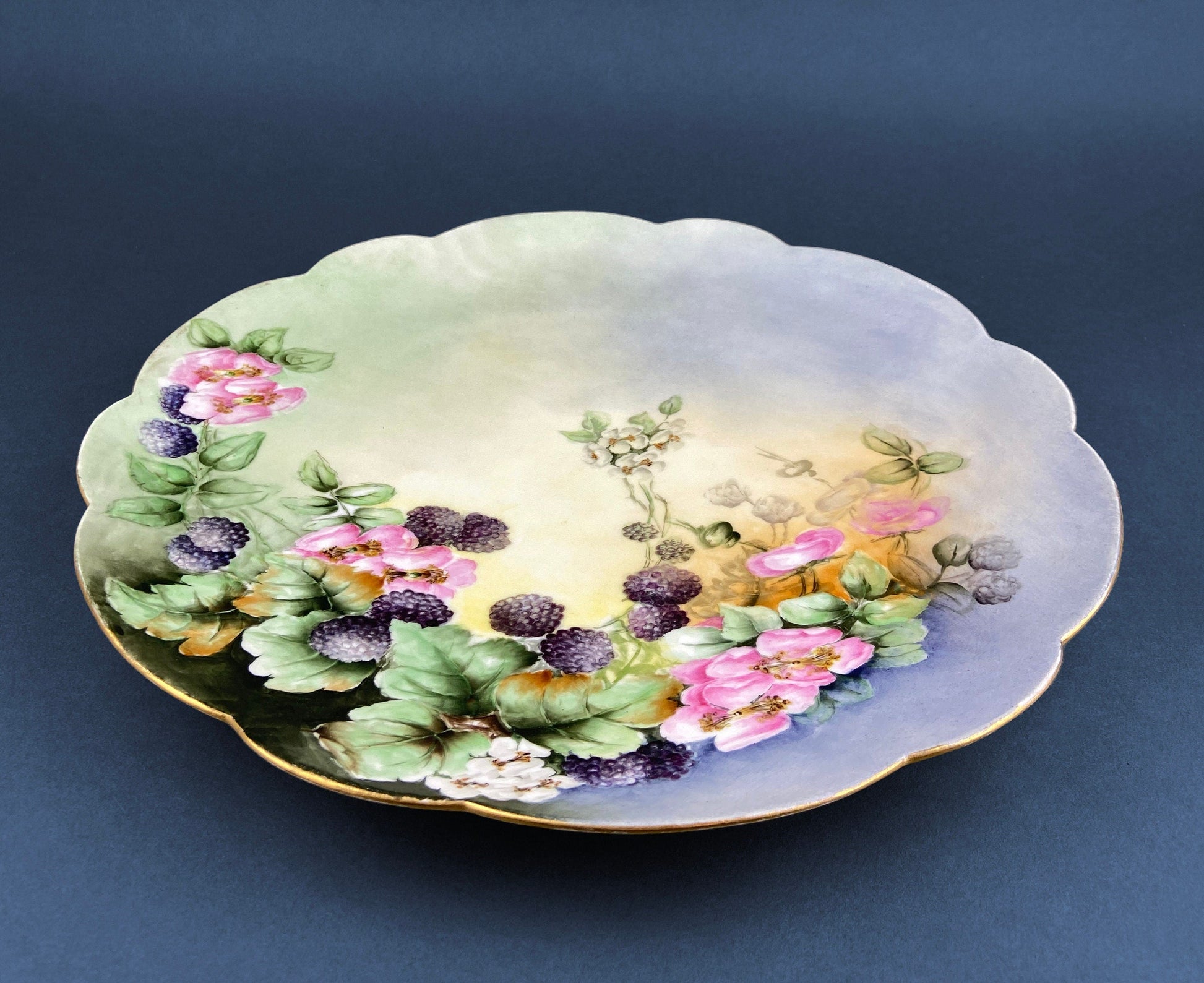 Antique Decorative Plate by Imperial Vienna. Hand Painted Collectable Serving Platter. M.Z. Austria. 1900-1909. - Tampa Home & Garden Store