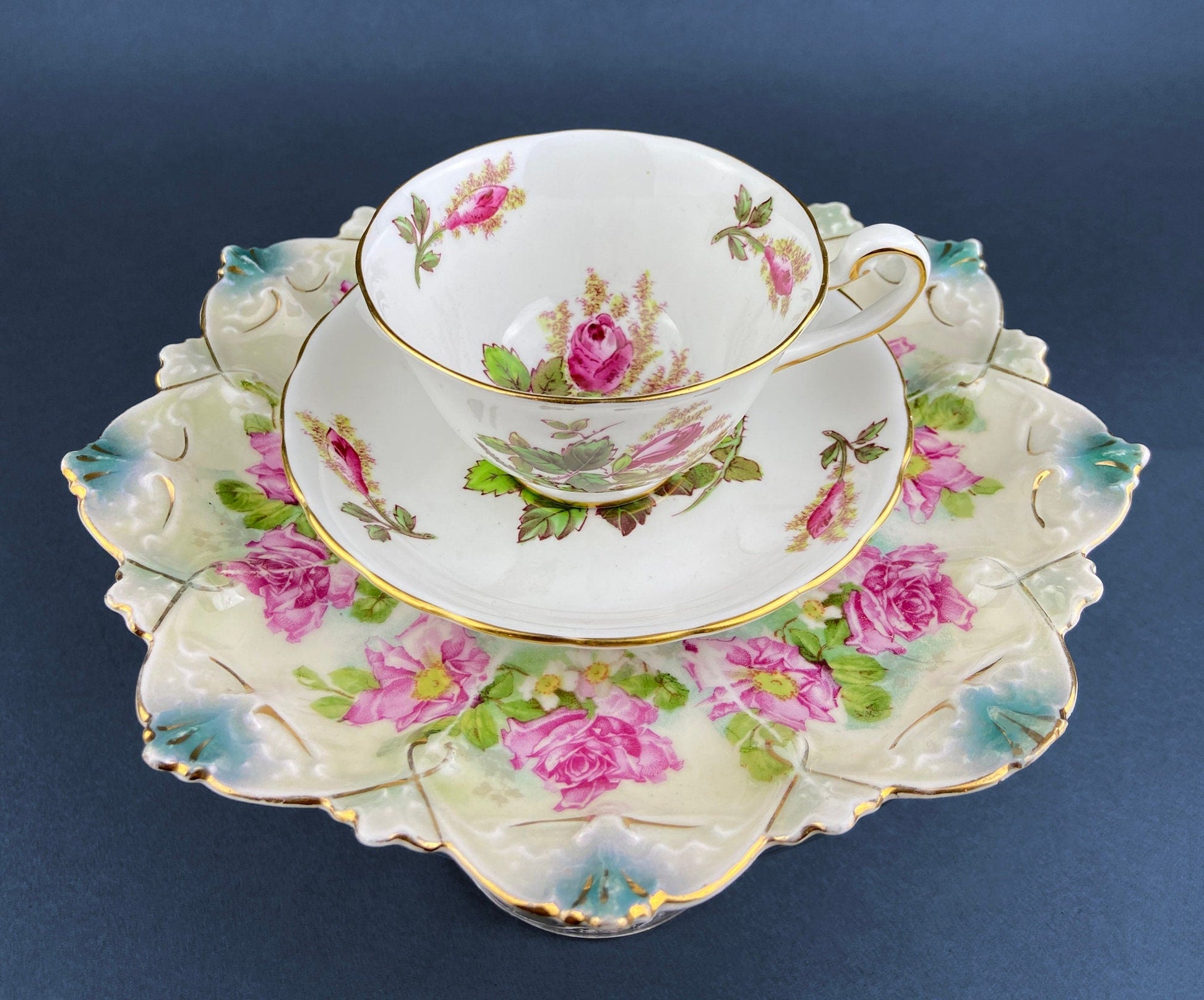 Antique Decorative Plate by Imperial Vienna. Hand Painted Collectable Serving Platter. M.Z. Austria. 1900-1909. - Tampa Home & Garden Store