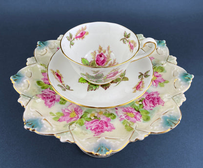 Antique Decorative Plate by Imperial Vienna. Hand Painted Collectable Serving Platter. M.Z. Austria. 1900-1909. - Tampa Home & Garden Store