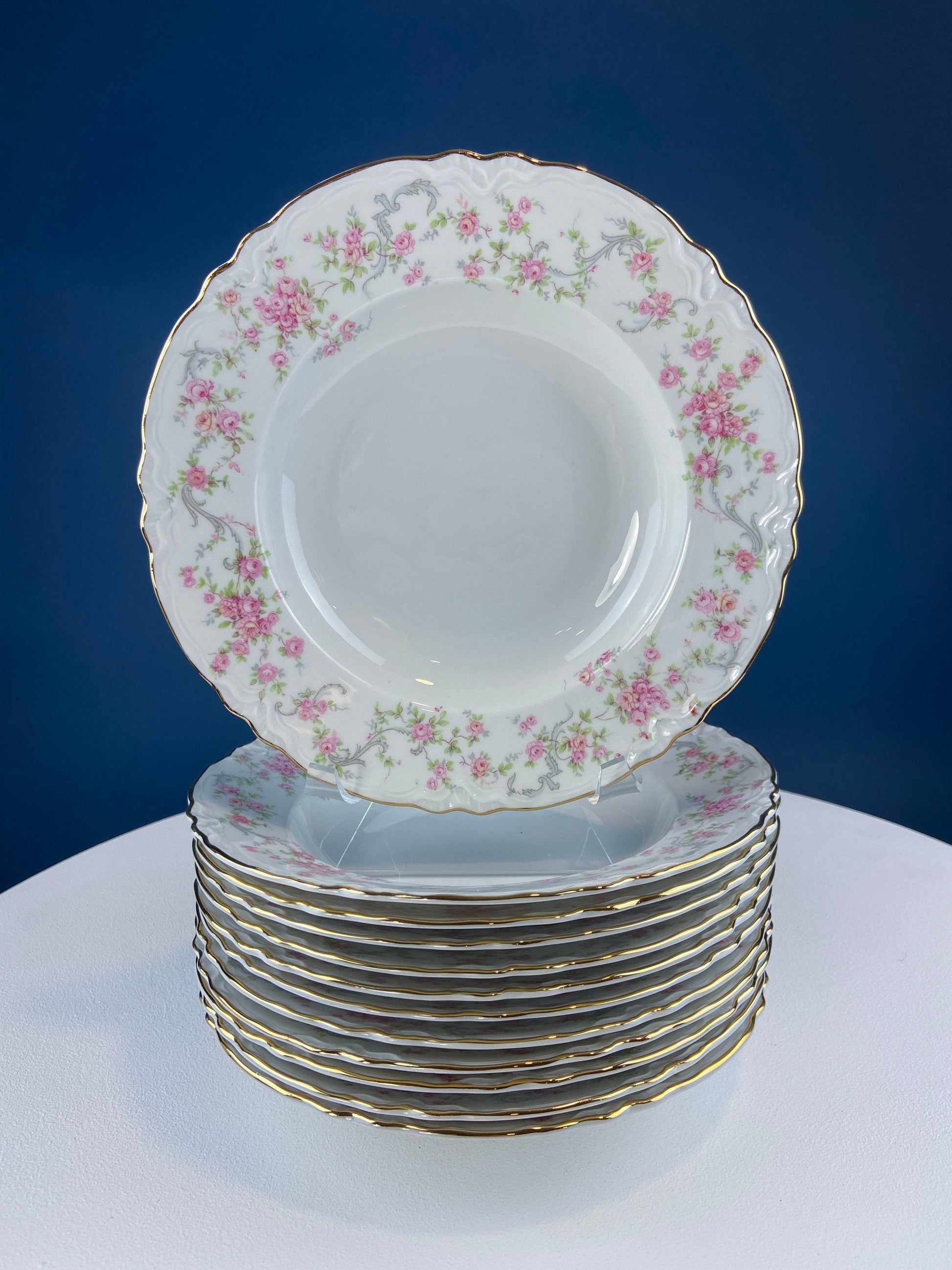 Antique Hutschenreuther Porcelain Soup Plates. Set of 12, Richelieu Rose Garlands Motif. Wedding Gift Idea. Fine Dining. Modern Farmhouse. - Tampa Home & Garden Store