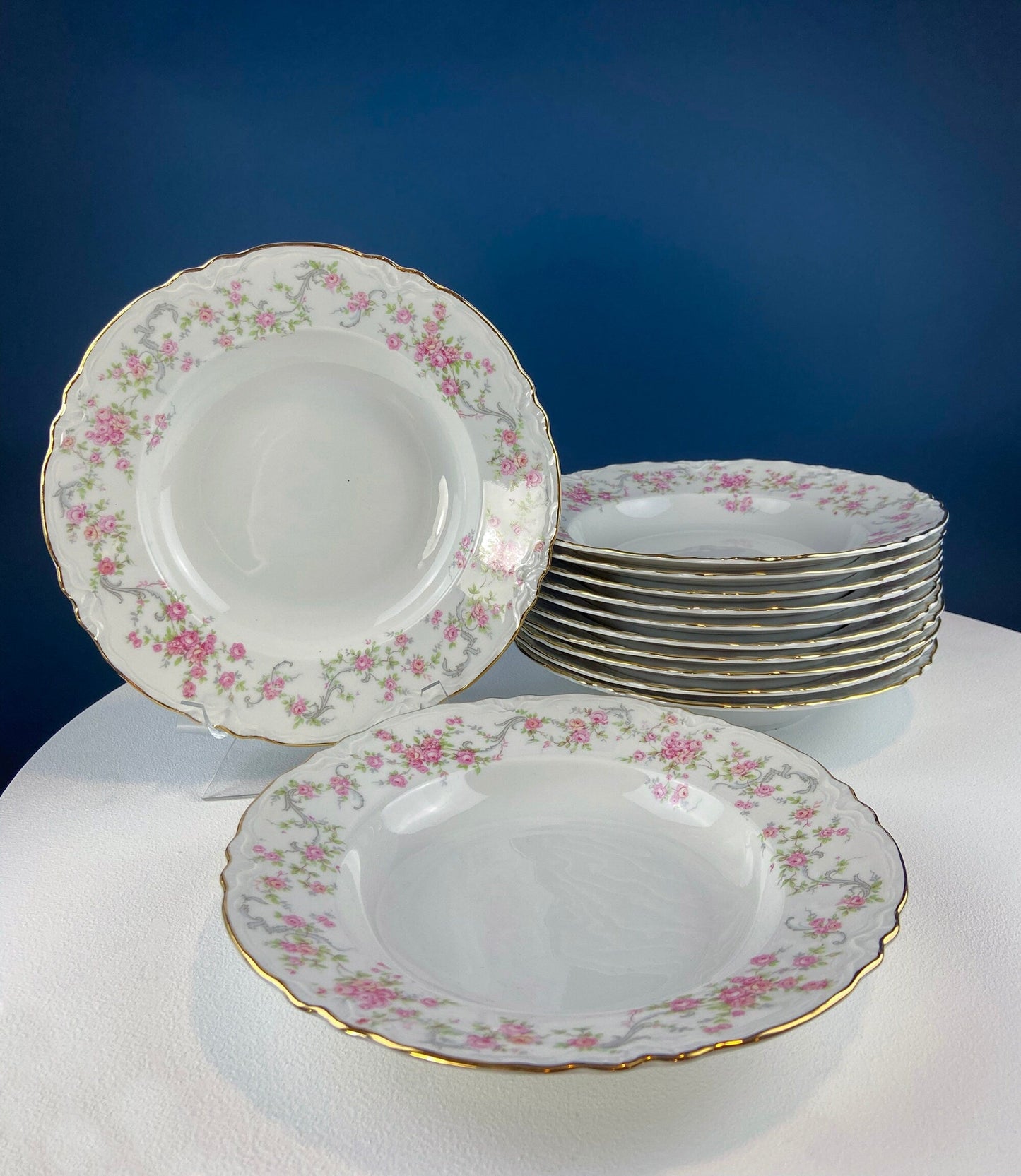 Antique Hutschenreuther Porcelain Soup Plates. Set of 12, Richelieu Rose Garlands Motif. Wedding Gift Idea. Fine Dining. Modern Farmhouse. - Tampa Home & Garden Store