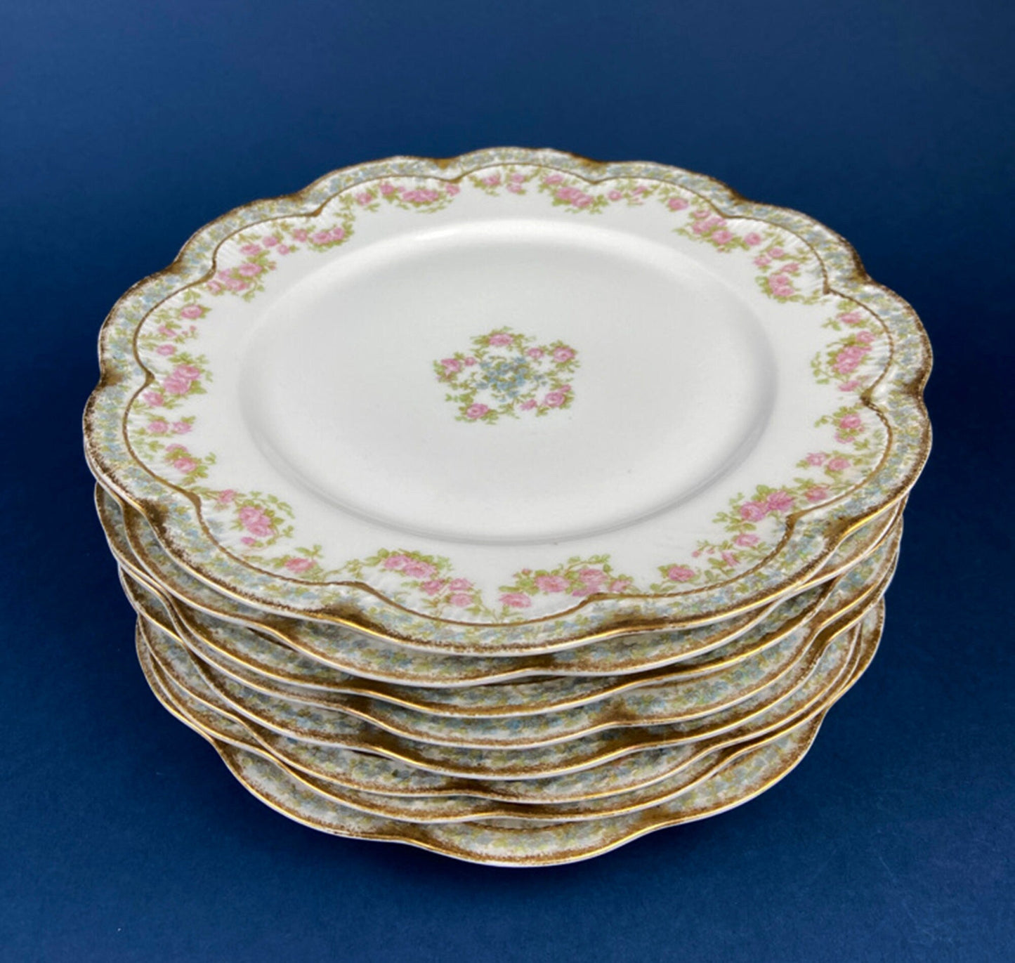 Antique Limoges Dinner Plates. Set of Eight Large Plates. Haviland & Co. Made in France. Luxurious Dining. Rare Find. French Country Living - Tampa Home & Garden Store