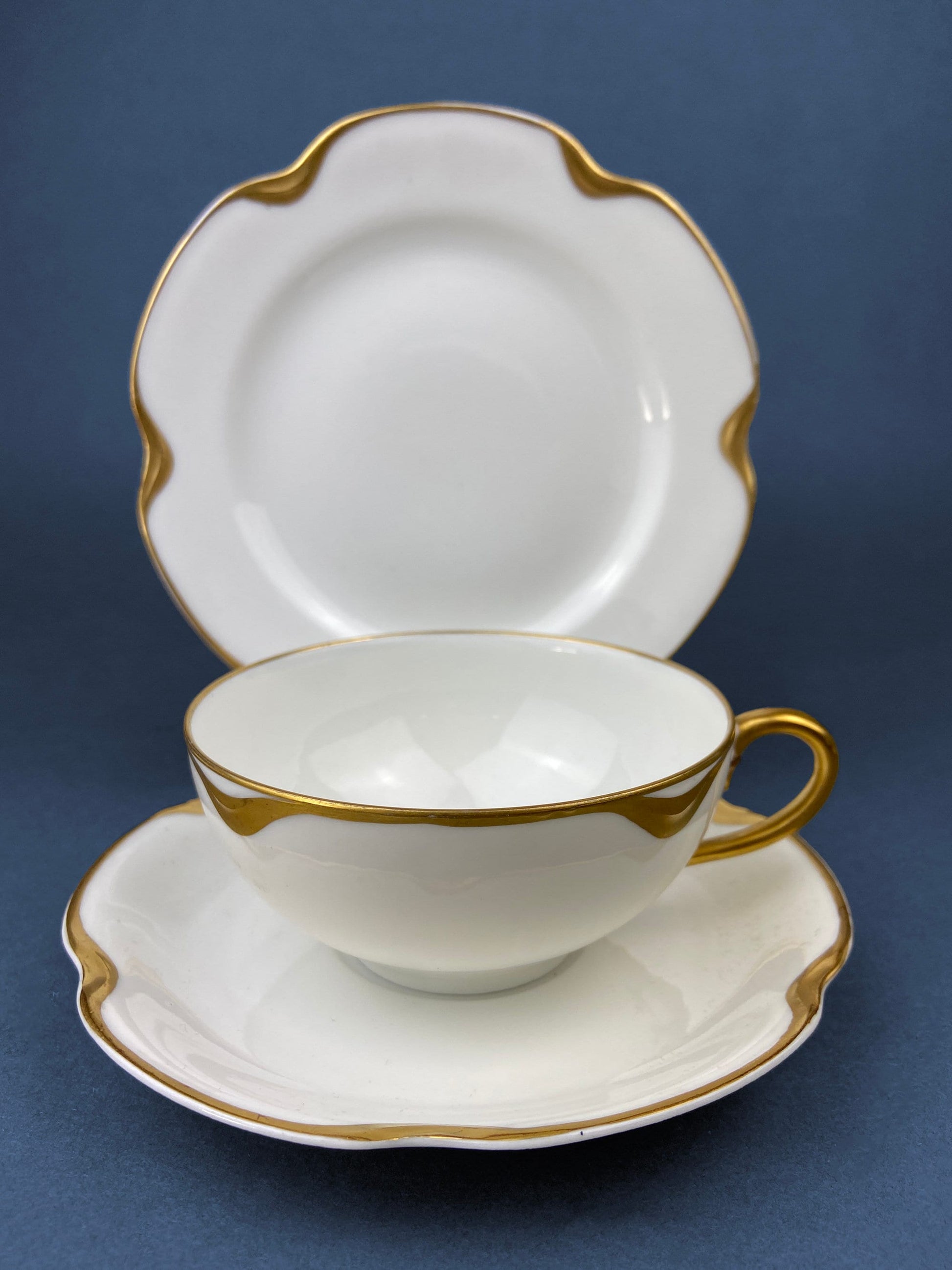 Antique Limoges Porcelain Serving Set. Tea or Coffee Cup with Saucer,  Dinner, and Salad Plates. Finest Porcelain by Haviland, France. - Tampa Home & Garden Store