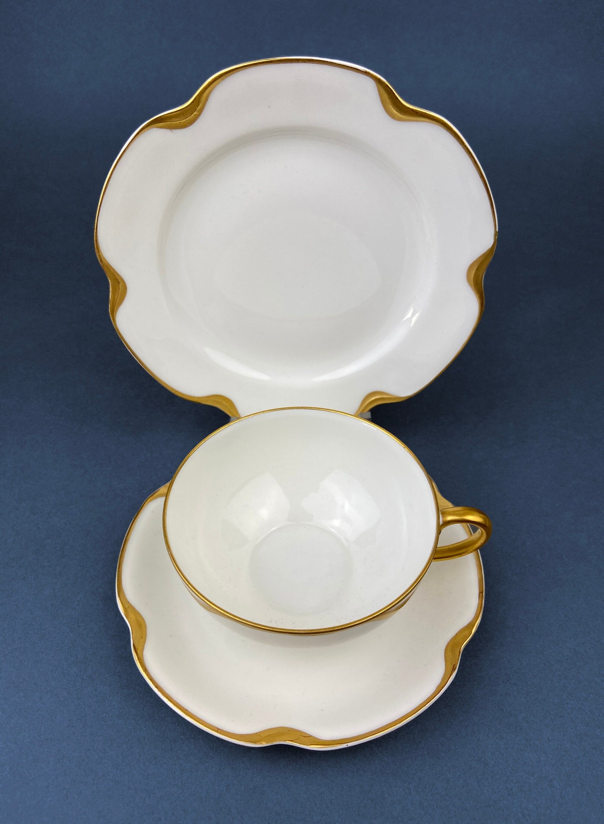Antique Limoges Porcelain Serving Set. Tea or Coffee Cup with Saucer,  Dinner, and Salad Plates. Finest Porcelain by Haviland, France. - Tampa Home & Garden Store