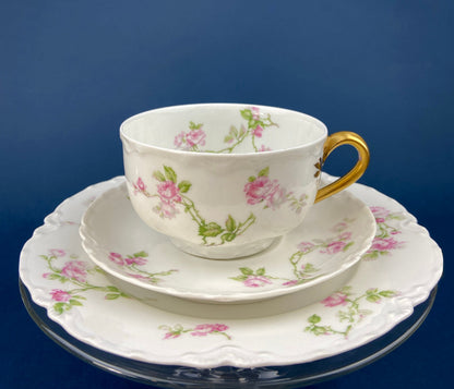 Antique Limoges Tea Cup and Saucer. Hand-Painted Porcelain by Haviland, France. Violet Clusters Motif. Highly Collectible. - Tampa Home & Garden Store