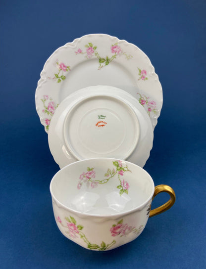 Antique Limoges Tea Cup and Saucer. Hand-Painted Porcelain by Haviland, France. Violet Clusters Motif. Highly Collectible. - Tampa Home & Garden Store