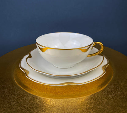 Antique Limoges Tea Cup and Saucer. Hand-Painted Porcelain by Haviland, France. Violet Clusters Motif. Highly Collectible. - Tampa Home & Garden Store