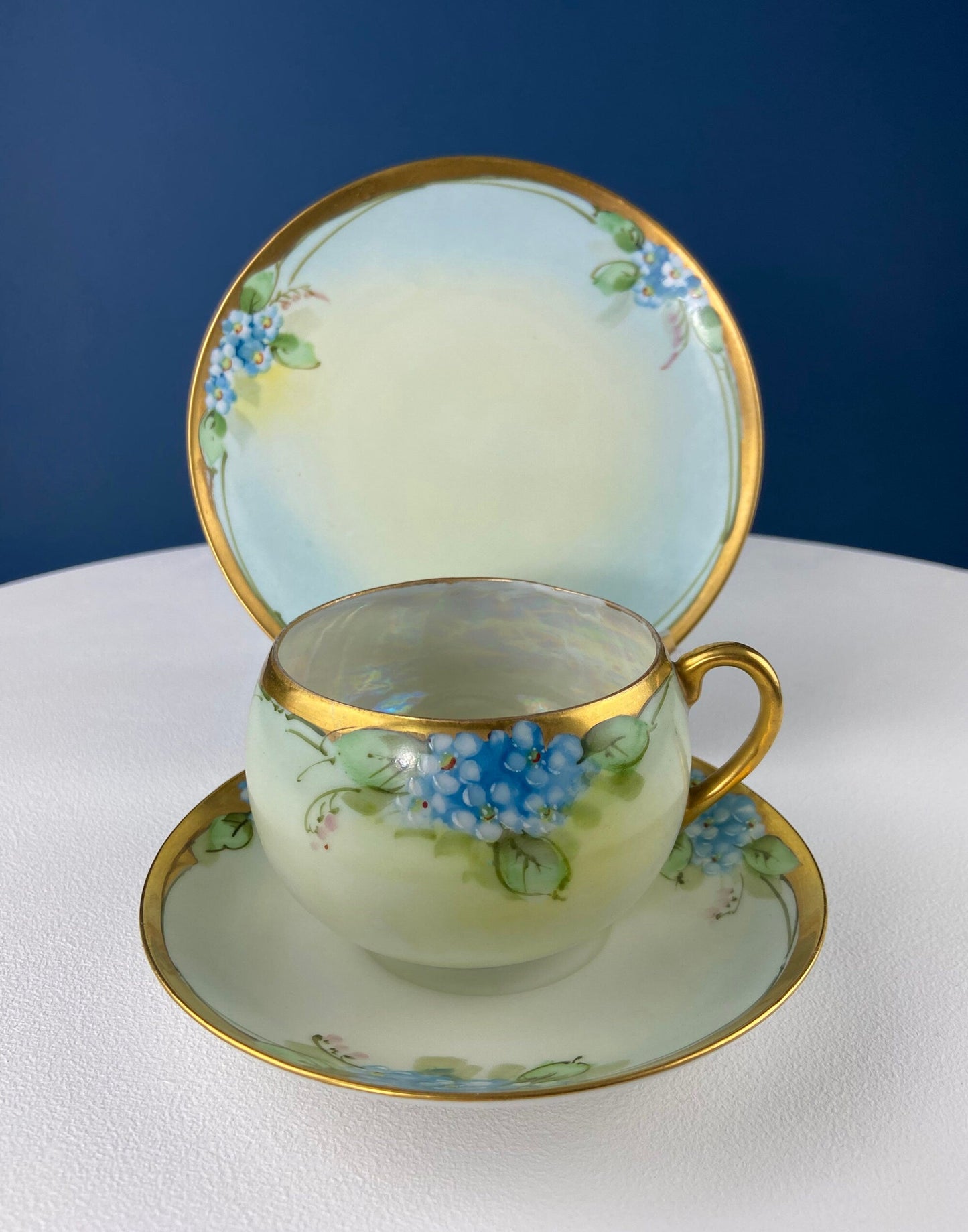 Antique Nippon Cup & Saucer Trio with Forget-Me-Not Motif. Hand Painted Porcelain. Collectible Porcelain.  Luxury Living. - Tampa Home & Garden Store
