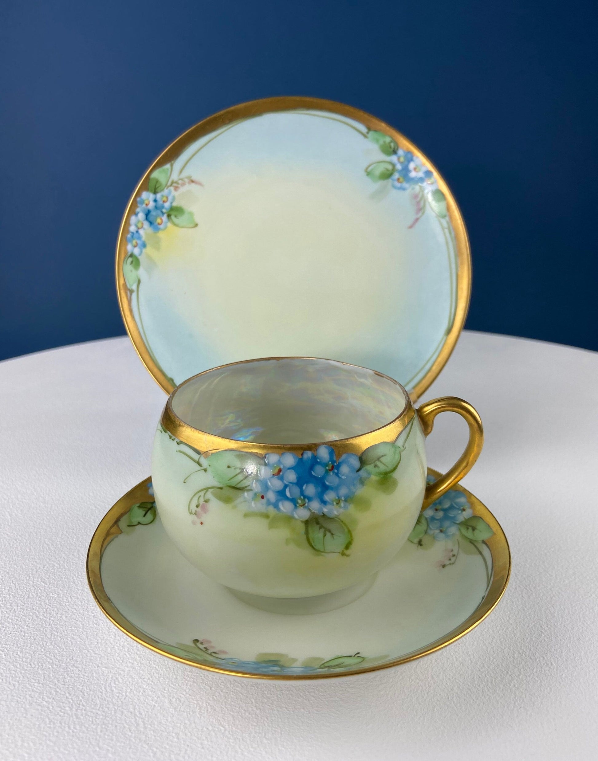 Antique Nippon Cup & Saucer Trio with Forget-Me-Not Motif. Hand Painted Porcelain. Collectible Porcelain.  Luxury Living. - Tampa Home & Garden Store