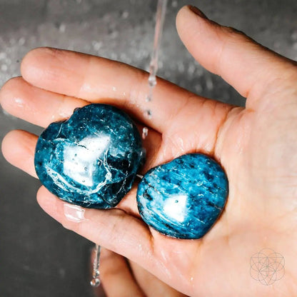 Apatite Heart of Positivity - Tampa Home & Garden Store