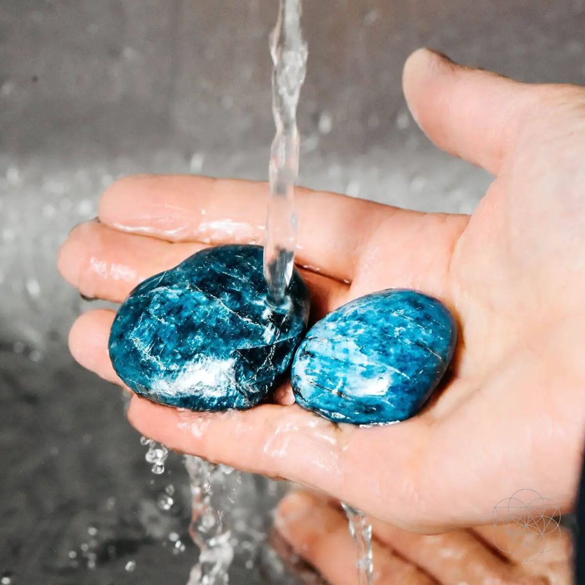 Apatite Heart of Positivity - Tampa Home & Garden Store