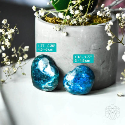 Apatite Heart of Positivity - Tampa Home & Garden Store